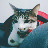 @kaniheart Avatar