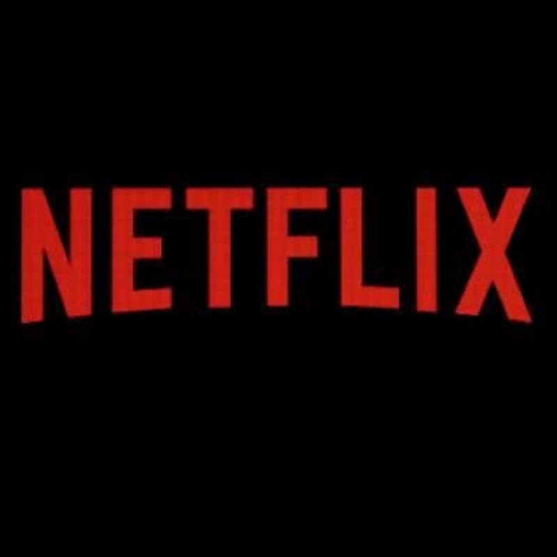 NETFLIX SERIES FANS