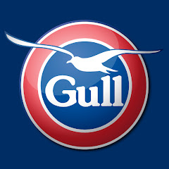 Gull New Zealand