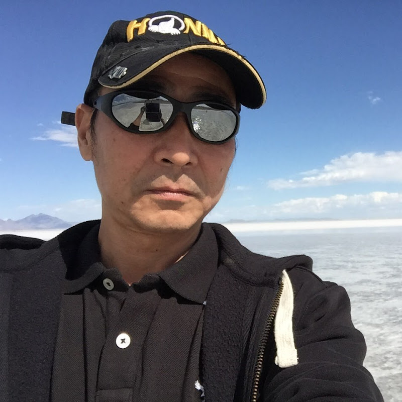 陈导游专业地接 Logo