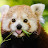 @puch7283's avatar