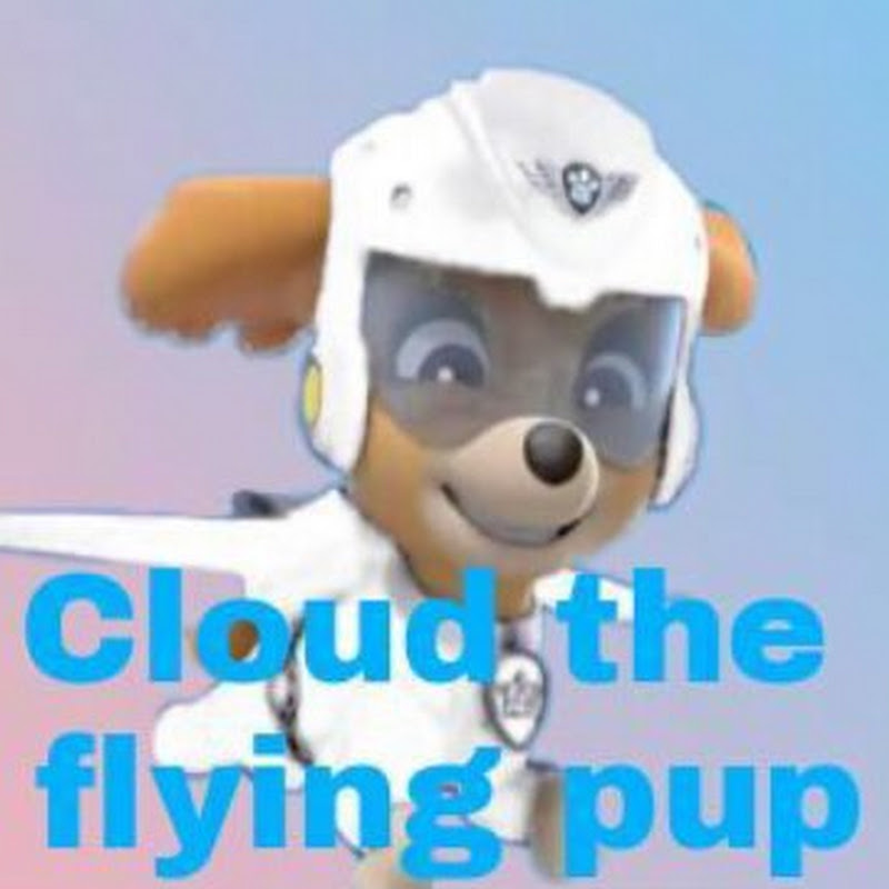 Cloud the flying pup icon