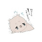 まろまゆ