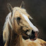 un7kTJC2rkc-channel-avatar-Jessica Matheney Fine Art