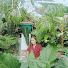 nLjUdJPESF0-channel-avatar-Plant Fairy Vlogs