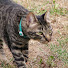 0y2sXLWbT2Q-channel-avatar-James Eagleson