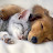 Relax Sleepy Time Lullaby Music