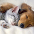 sy39EEJRoic-channel-avatar-Relax Sleepy Time Lullaby Music