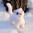 @뭉뭉-e8p