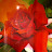 @user-xk5ec2lp9w