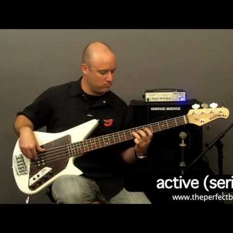 theperfectbass