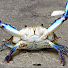 Channel Image