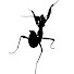 NSdYwWwICm0-channel-avatar-MantisAntics - Hive Mother