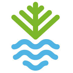 Napier City Council