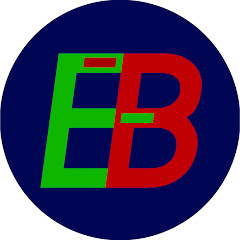 Électro-Bidouilleur net worth