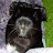 @CG-qw9sy's avatar