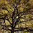 @Ivan-ud8op
