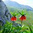 @salihakn9788