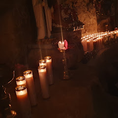 펫힐링주파수 Pet Healing Frequency