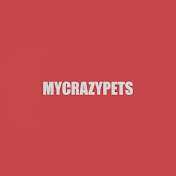 MyCrazyPets