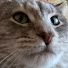 37W09T0lW3U-channel-avatar-marin