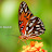 Avatar photo