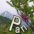 xmIEblYsZps-channel-avatar-pan naa