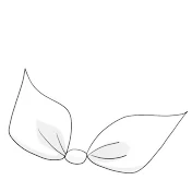 noripy