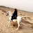 Arabian horses Ali Ahmed