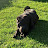 @gerardstadalius's avatar