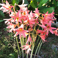 นาตยา ศิริรัตน์ channel thumbnail