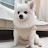 @user-wb1lt8bt8k