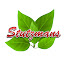 aigXfo-S8pU-channel-avatar-Stutzmans Greenhouse