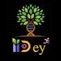 iiDey logo