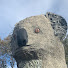 xEl_7EwdNVM-channel-avatar-Dog Man