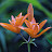 @user-zv9wh9vl5u