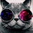 Avatar photo