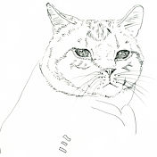 プーミーチャーチャンネル