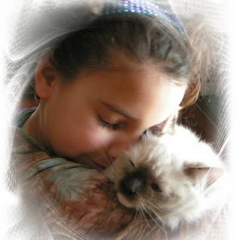 Leanna Steward icon