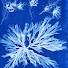 _Ap19cd5Mgc-channel-avatar-impressions