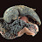 @bonusflaps1749's avatar
