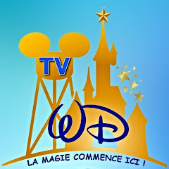 Wonderful Disneyland TV