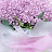 @user-yz7eo8wp2z