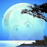 M7wqvhDx8NY-channel-avatar-Once In A Blue Moon Translations