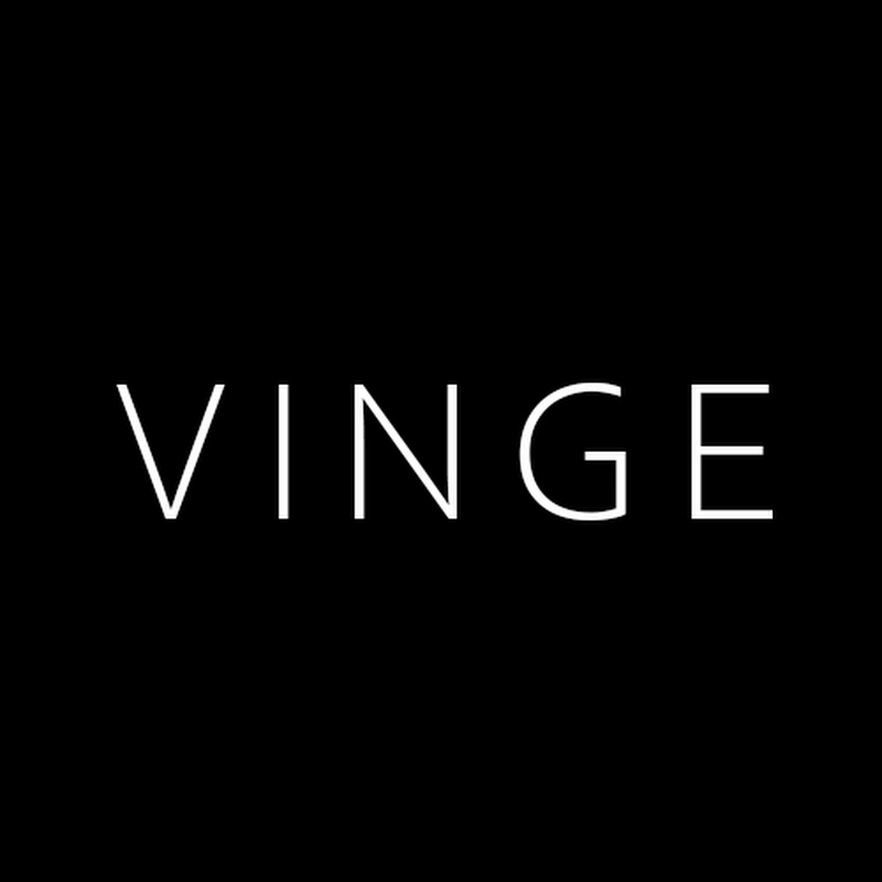 Vinge Project