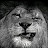 @user-hf8fz1py1s Avatar