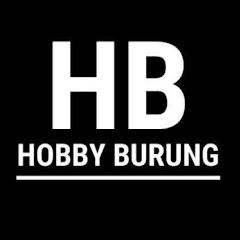 Hobby Burung