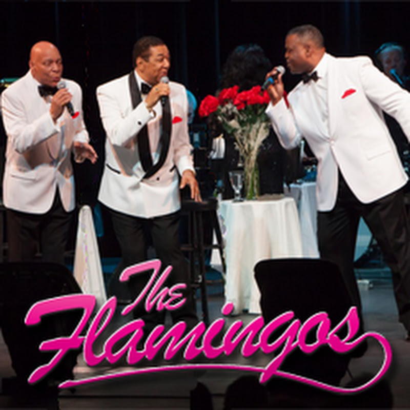 The Flamingos