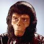 The Chimp Live Channel logo