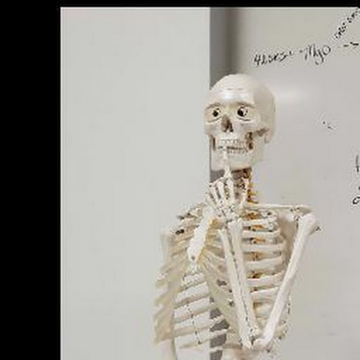 Skeleton Boi